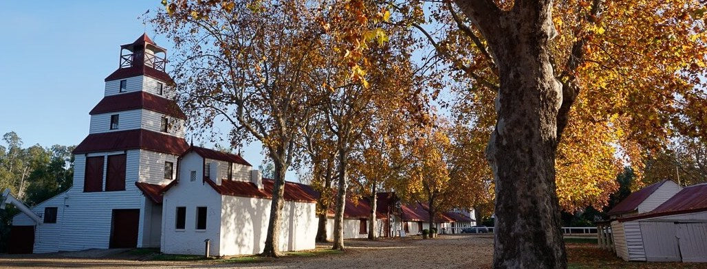 Tahbilk Winery