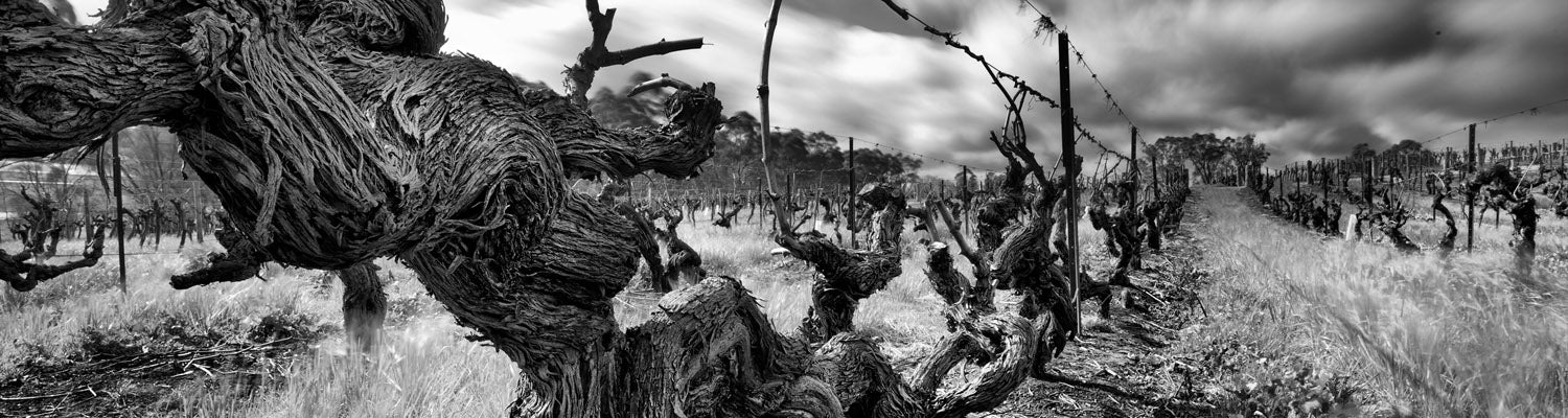 Langmeil Wines