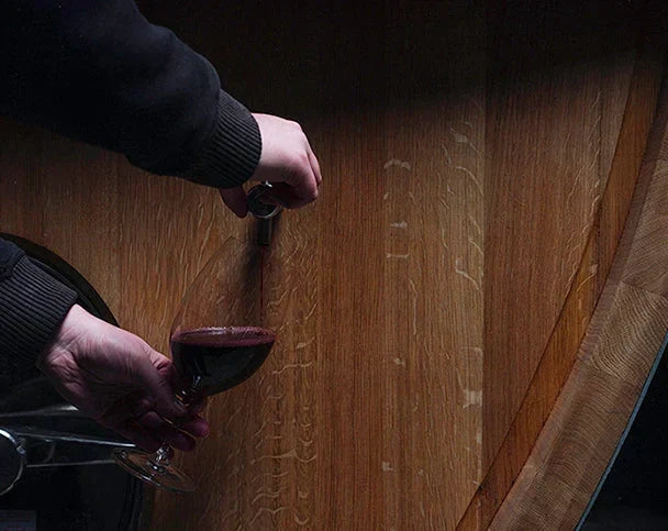 Australian Shiraz Is Changing: The New Styles Wine Lovers Should Know