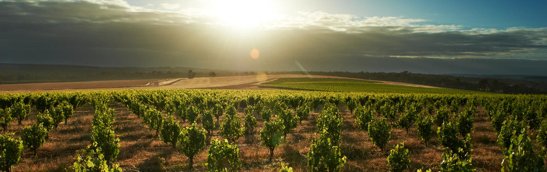 Australian Wines of The Great Southern Region