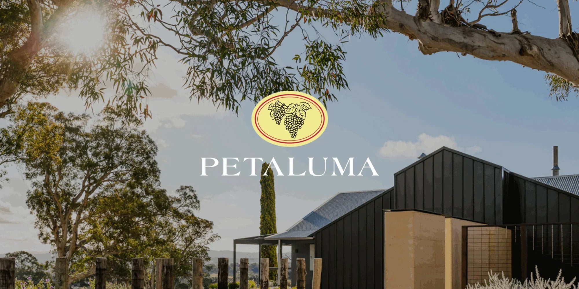 Petaluma Wines