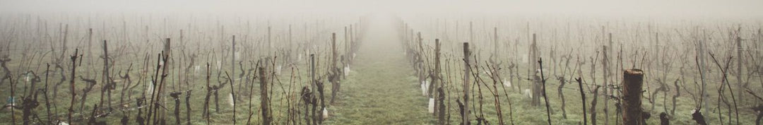 Australian Wines of Wrattonbully