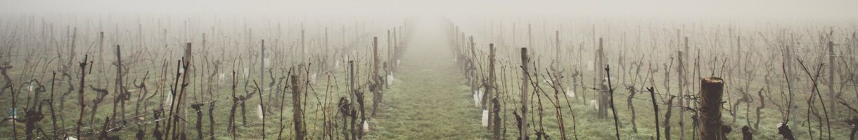 Australian Wines of Wrattonbully